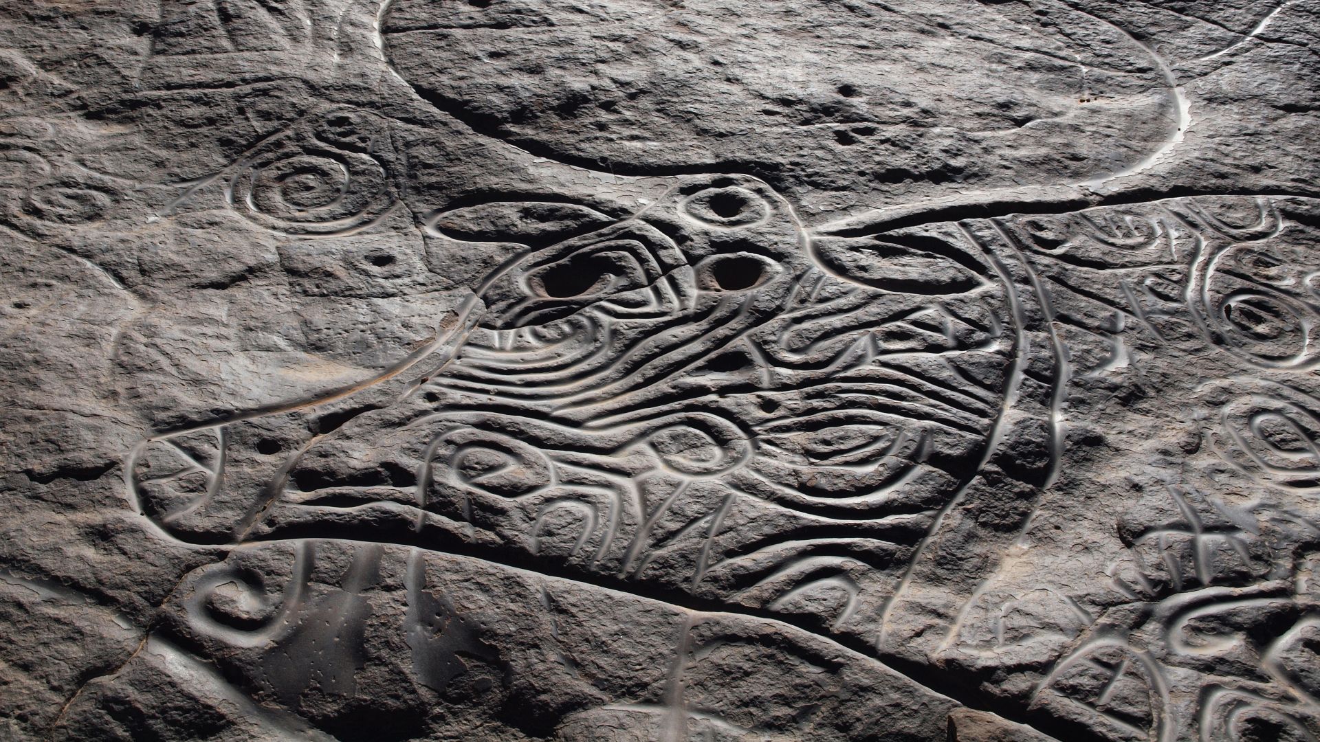 File:Bubalus Tin Taghirt.jpg