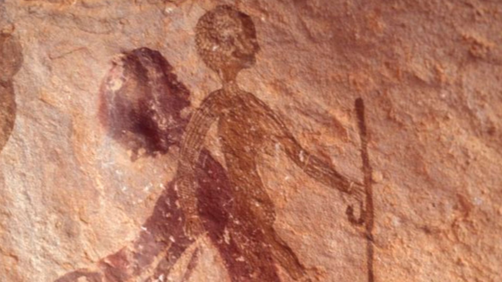 File:Fondazione Passaré V1 059.jpg