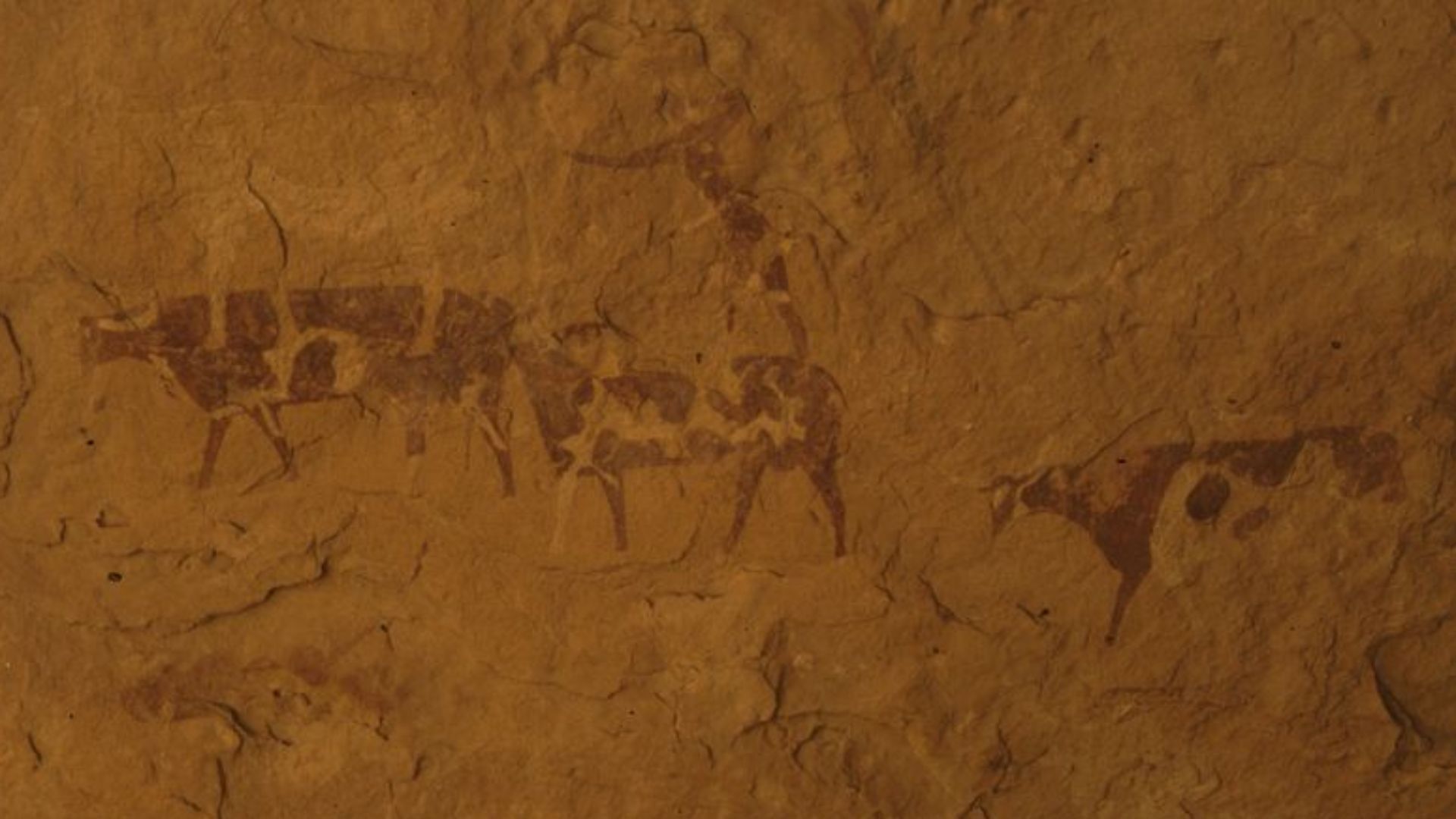 File:Fondazione Passaré V31 360.jpg