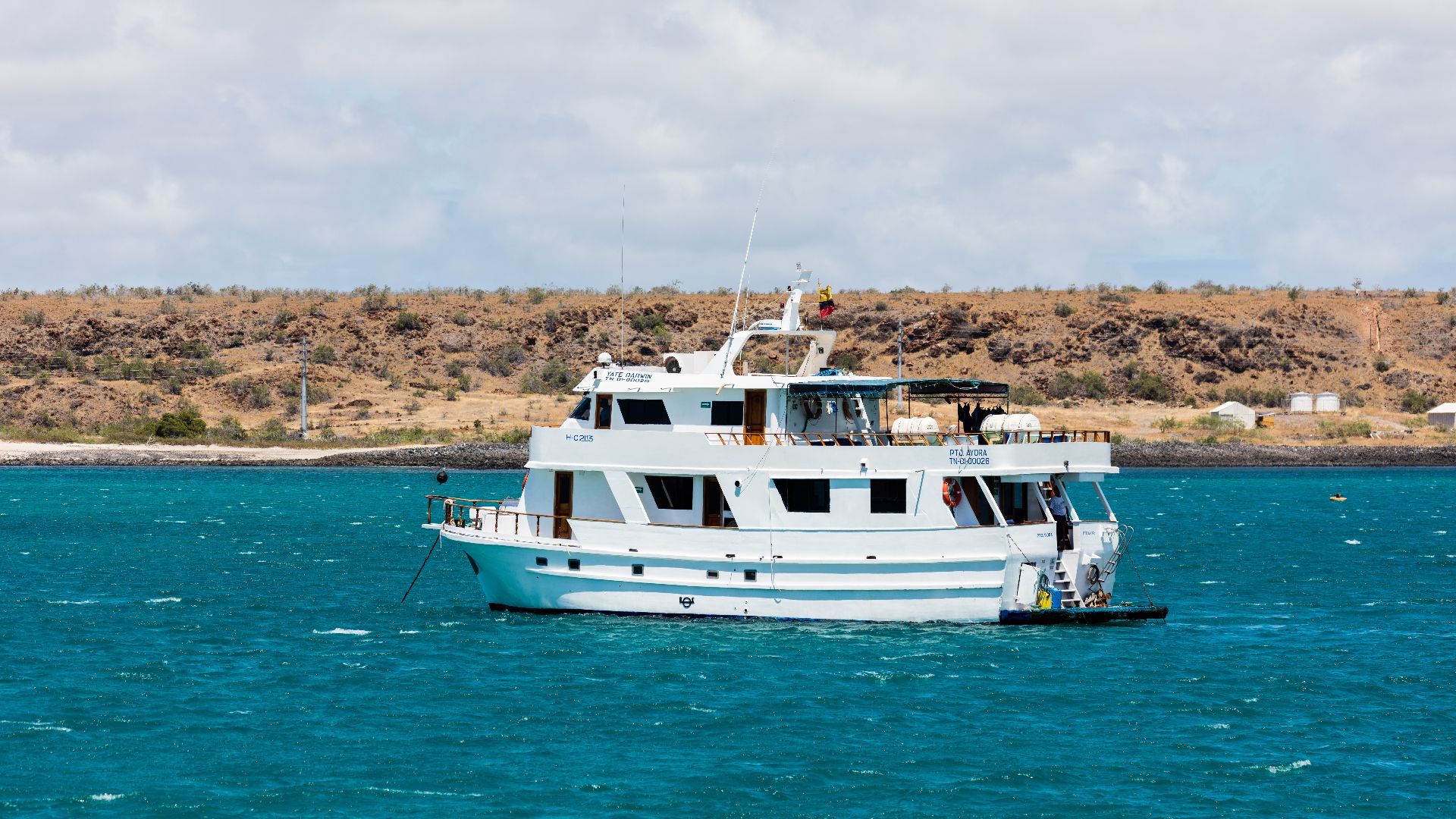 File:Yate Darwin, isla Baltra, islas Galápagos, Ecuador, 2015-07-23, DD 04.JPG