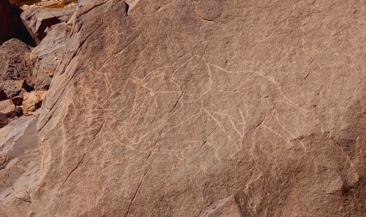 Amazing SAHARA: Tassili n'Ajjer, Algeria 