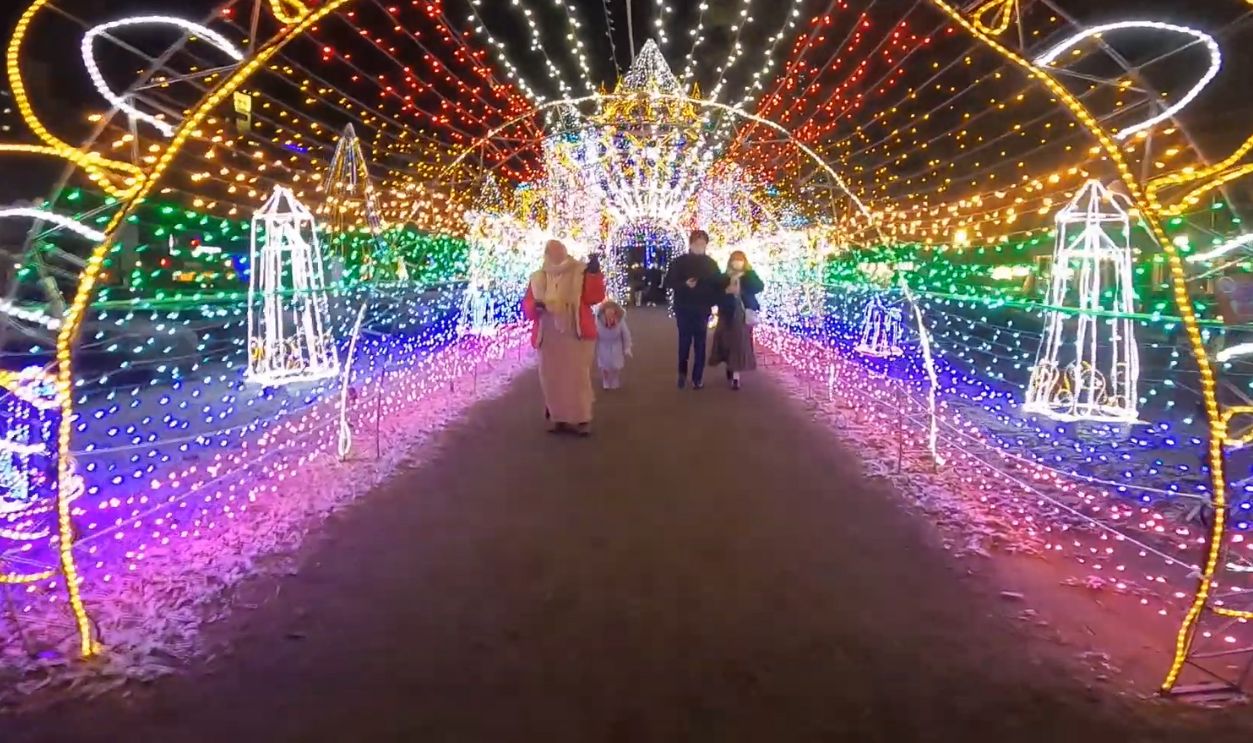 Winter Illuminations