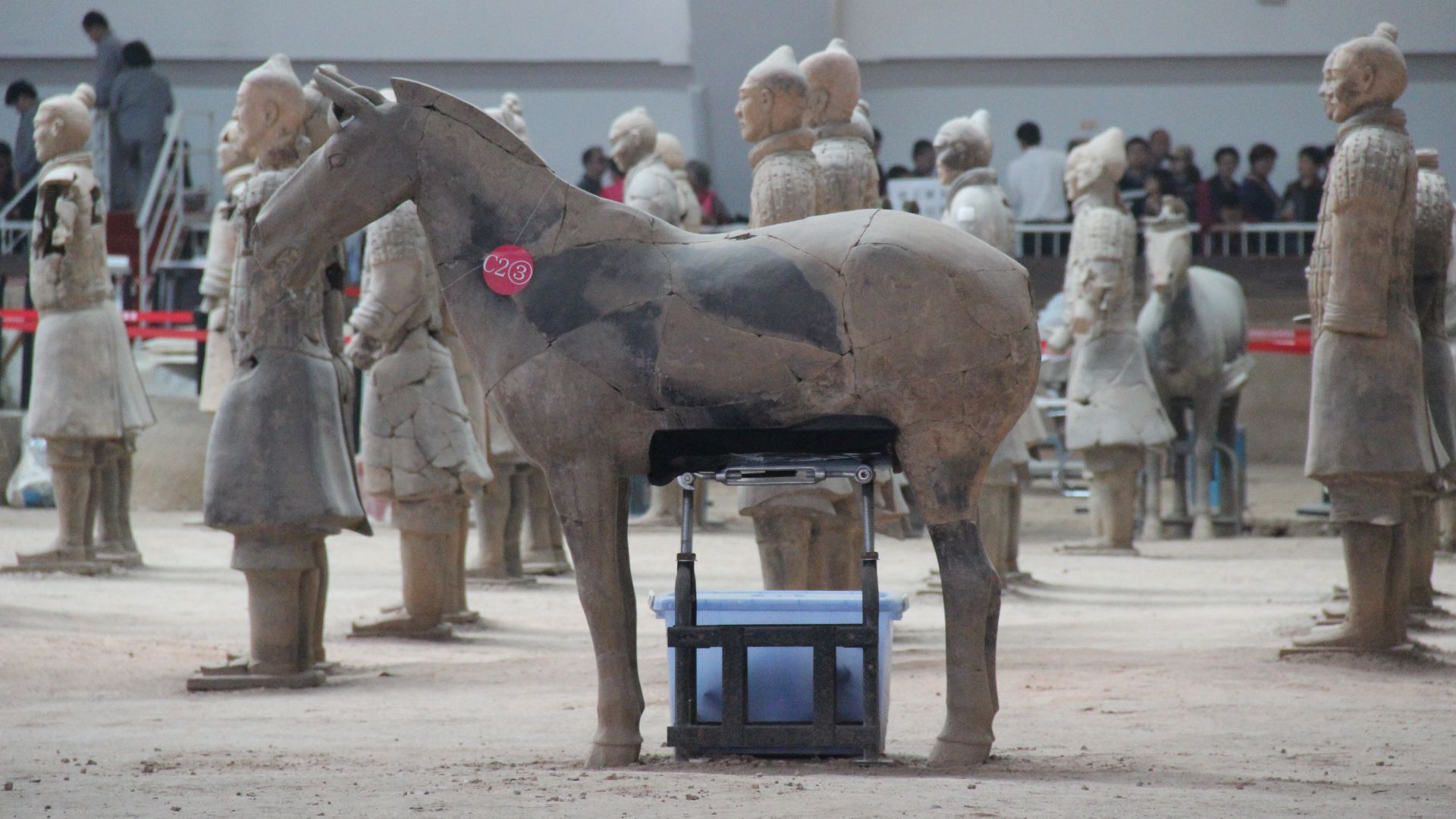File:Terracotta Horse of Qin Shihuang Under Restoration, Pit 1.jpg