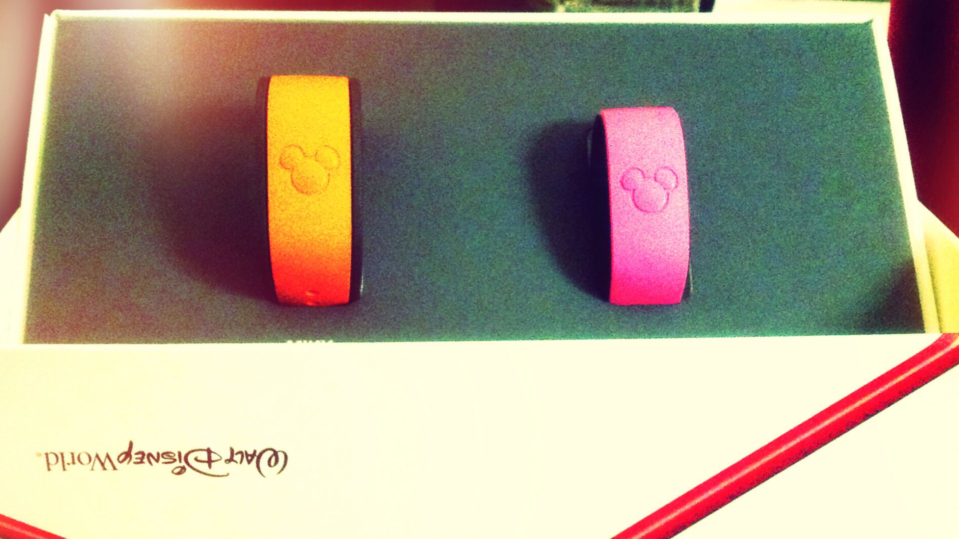 File:Magic bands! (10257550213).jpg