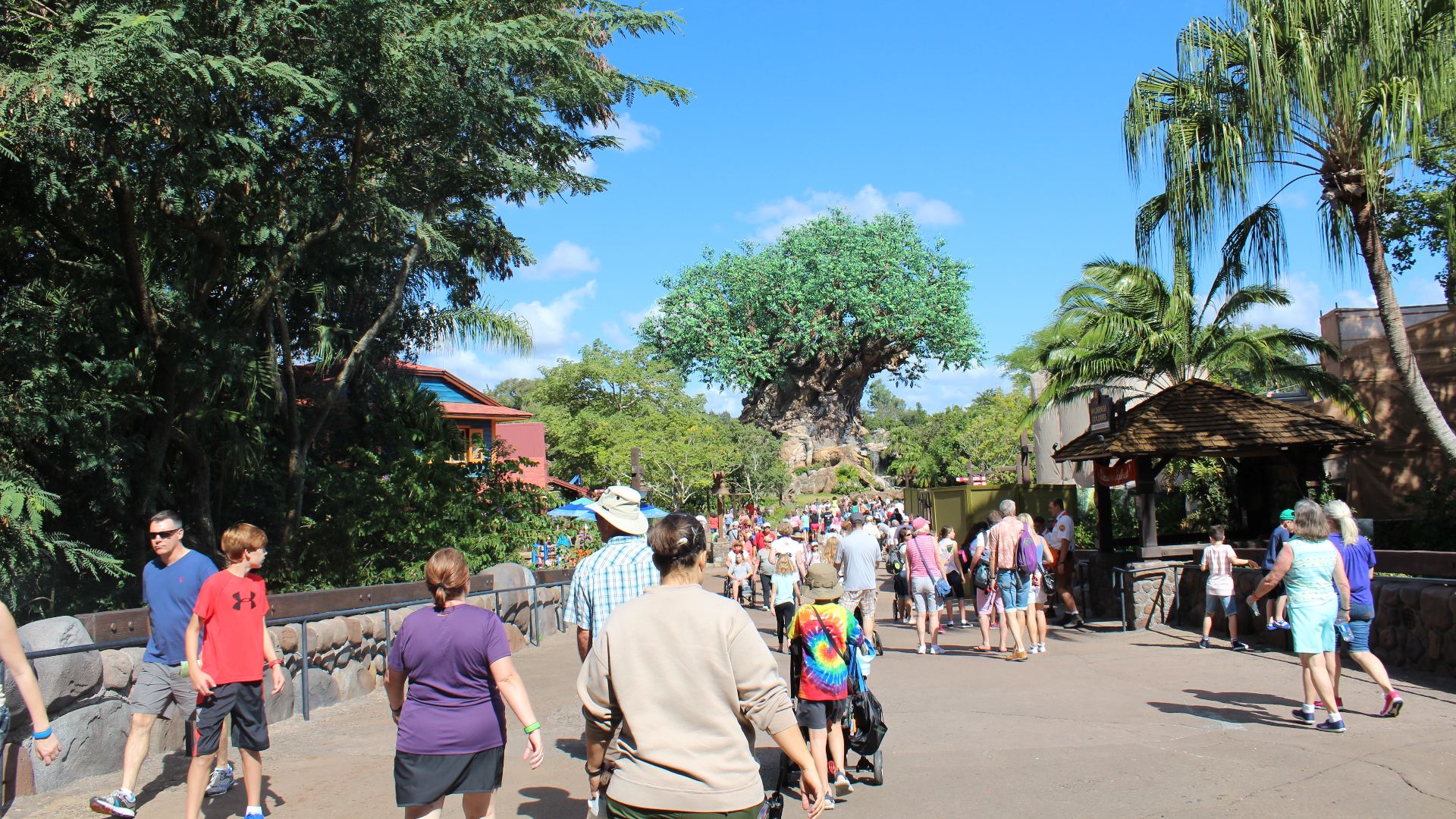 File:Disney's Animal Kingdom (22338855540).jpg