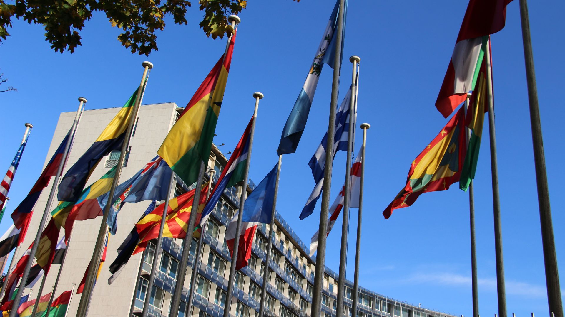 File:Paris - UNESCO (27137050510).jpg