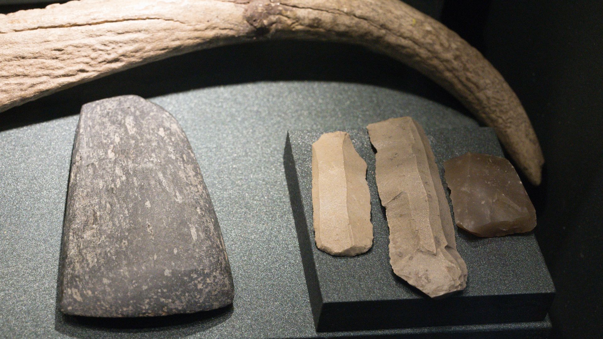 File:Stone tools, Neolithic or Copper Age, City of Prague Museum, 200215.jpg