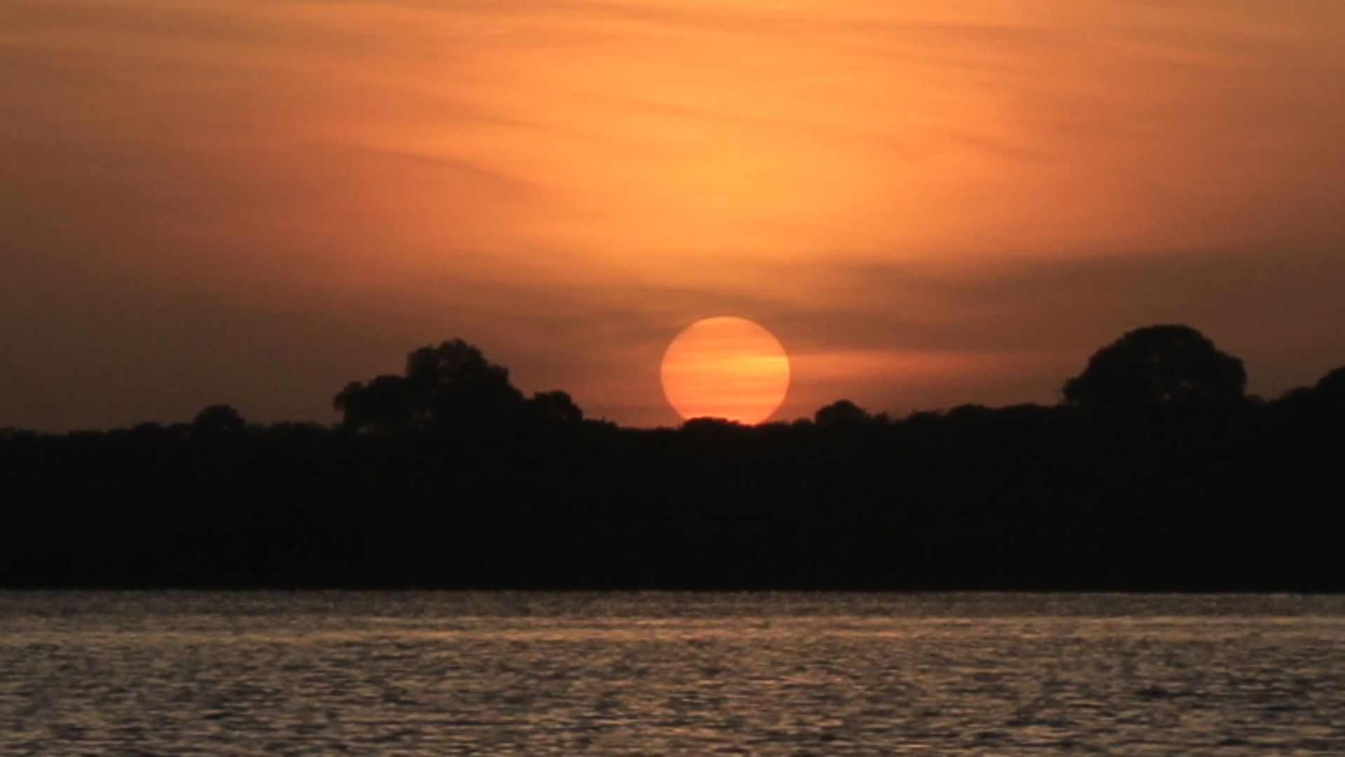 File:Tefe-Amazon-Rainforest (cropped).jpg