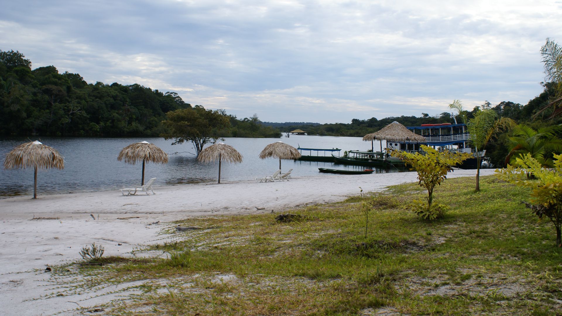 File:Amazon Rainforest - Manaus.jpg