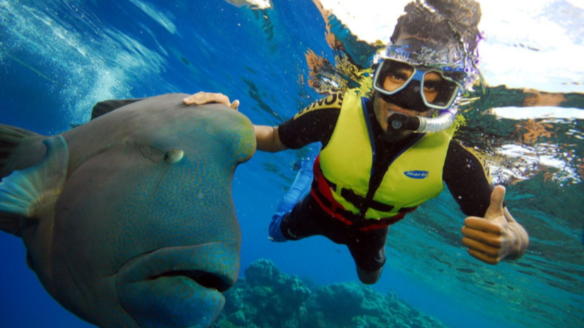 File:Great Barrier Reef.jpg