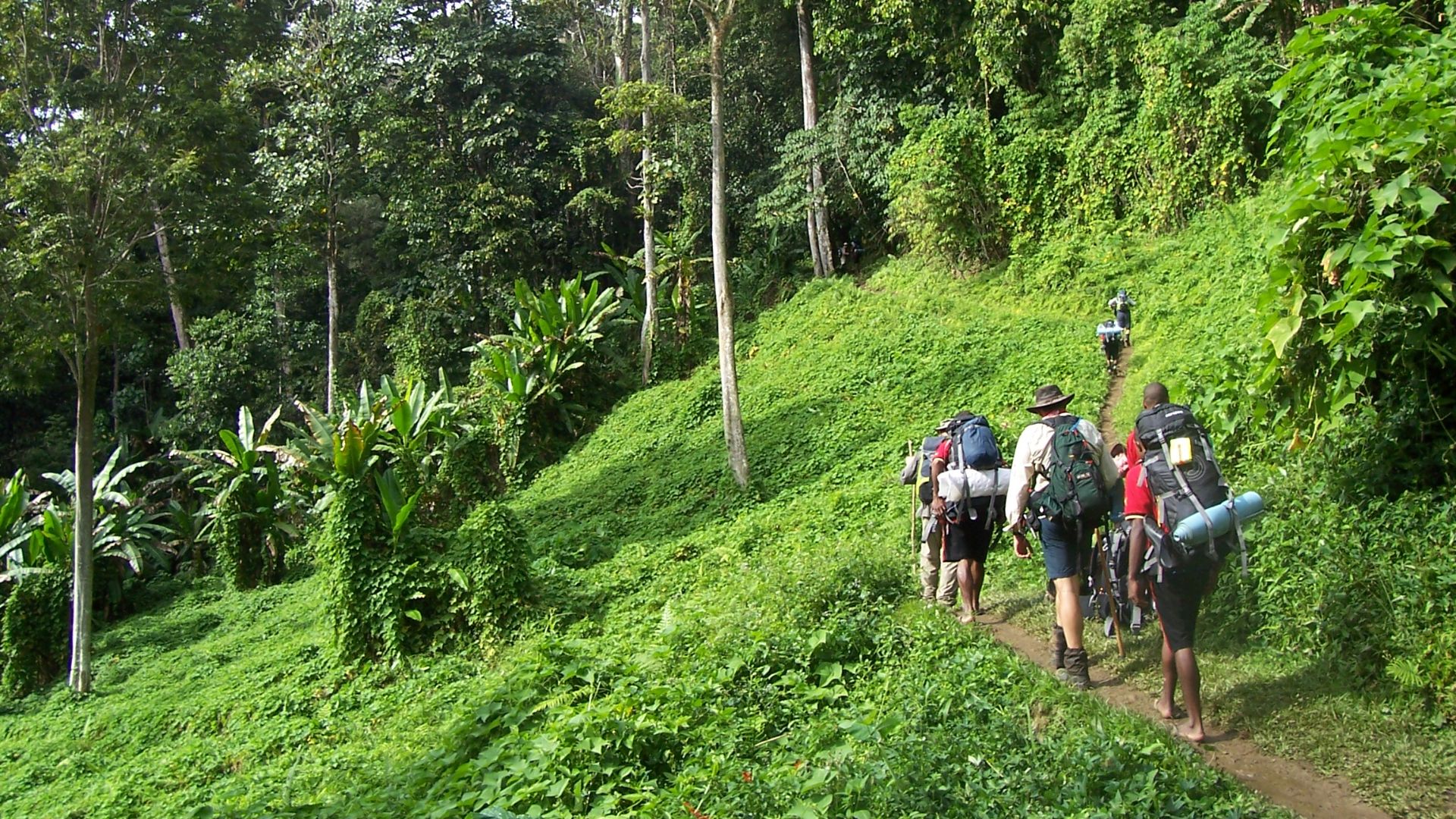 File:Kokoda track Papua New Guinea.JPG