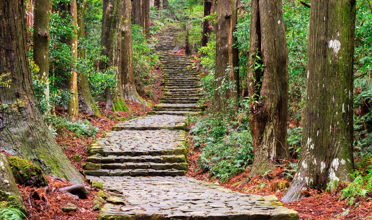 Kumano Kodo at Daimon-zaka, a sacred trail designated as a UNESCO World Heritage site in Nachi, Wakayama, Japan.