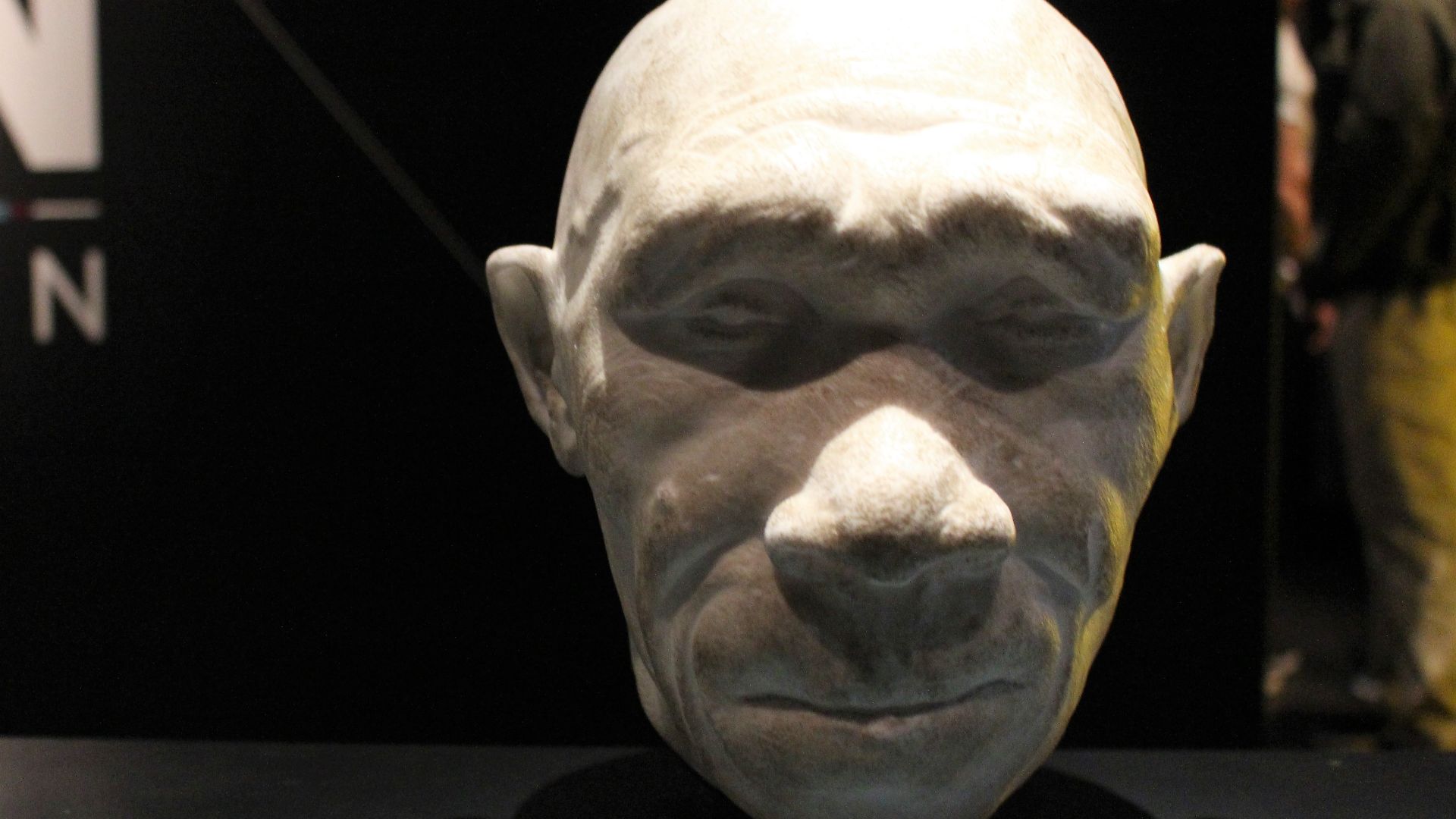 File:Em - Homo heidelbergensis model - 1.jpg