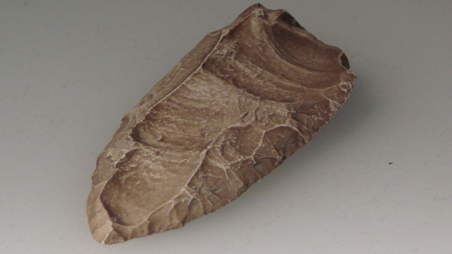 File:Mousterian tool (University of Zurich).JPG