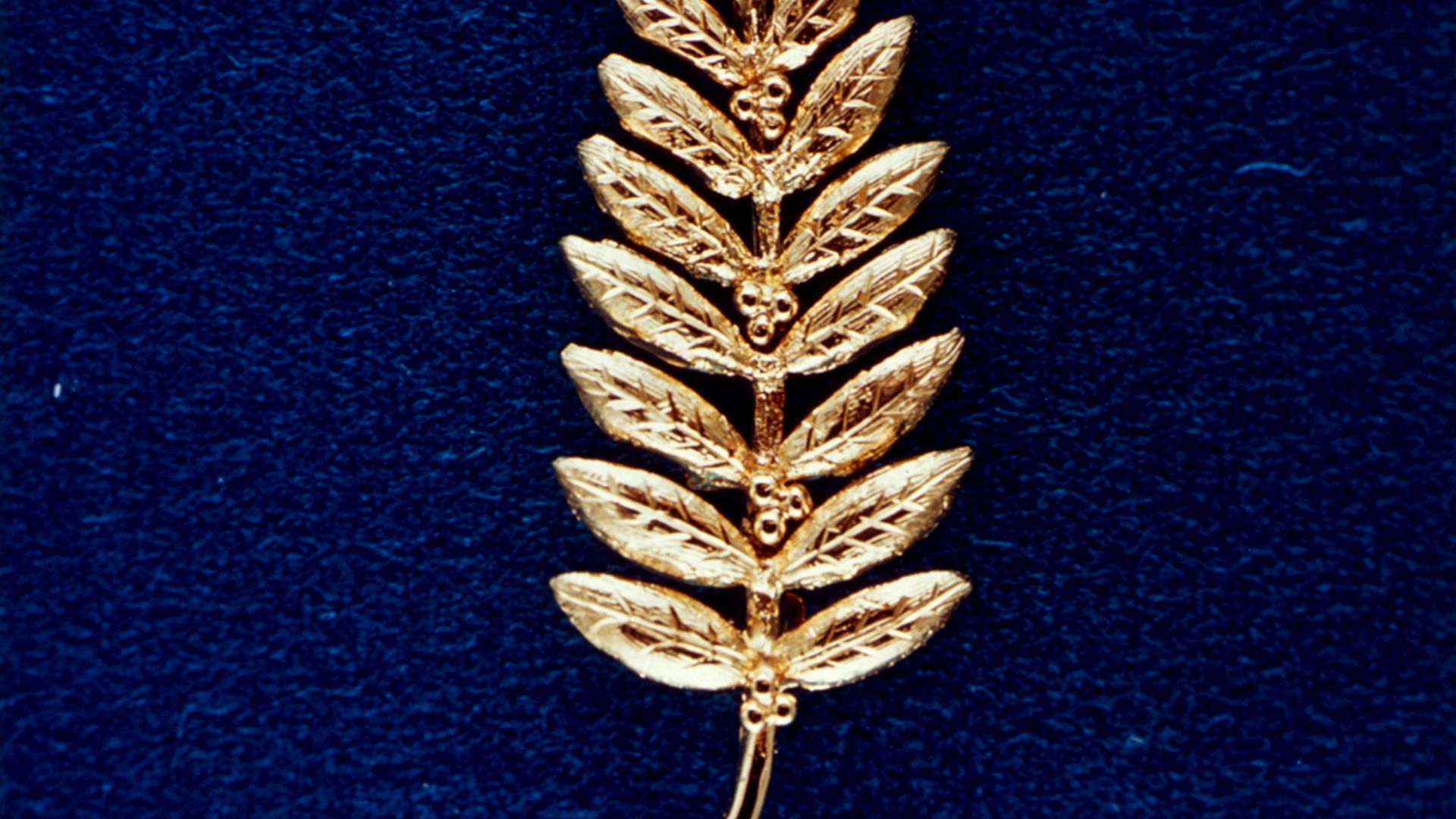 File:Gold Olive Branch Left on the Moon by Neil Armstrong - GPN-2002-000070.jpg