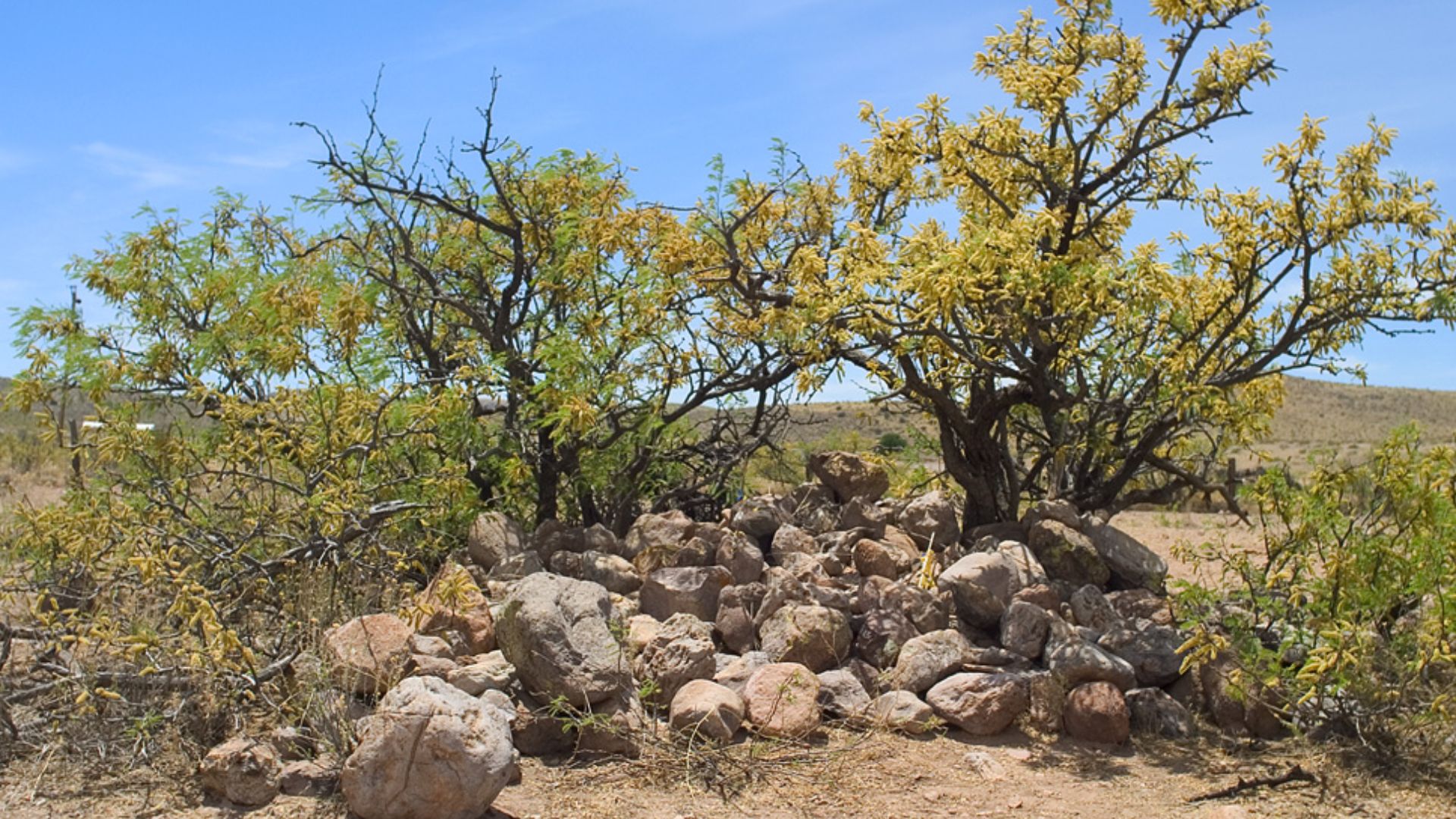 File:Geronimo surrender site.jpg
