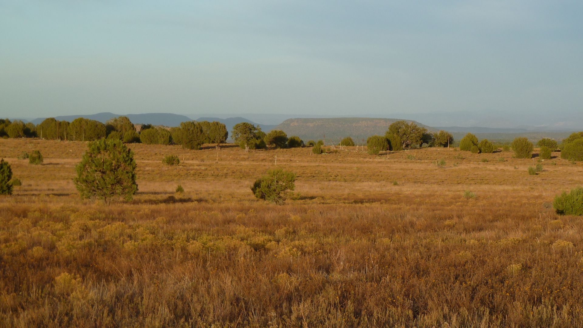 File:San Carlos Apache Reservation - panoramio.jpg