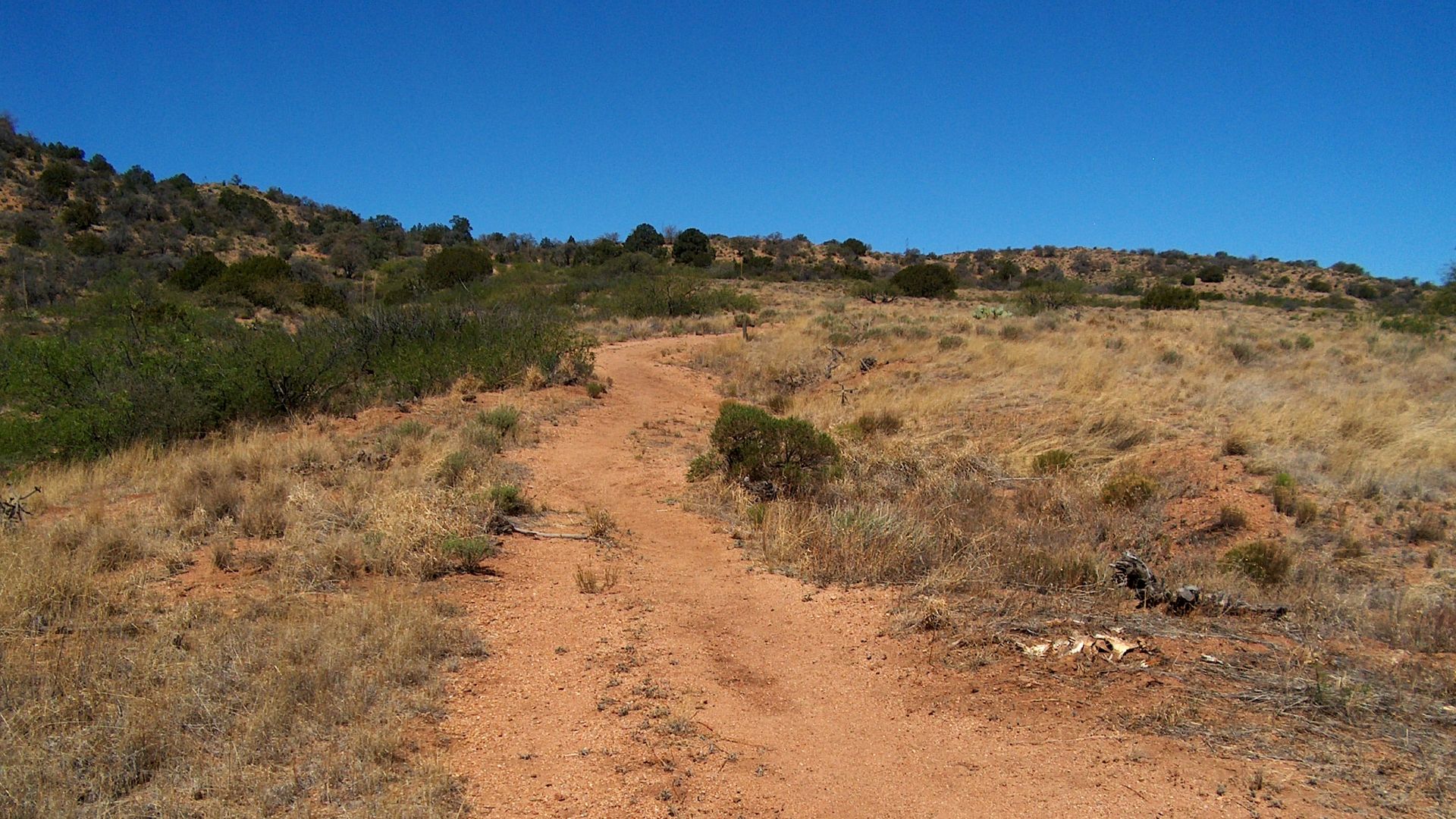 File:Butterfield Overland Mail trail remnant at Apache Pass, Arizona.jpg