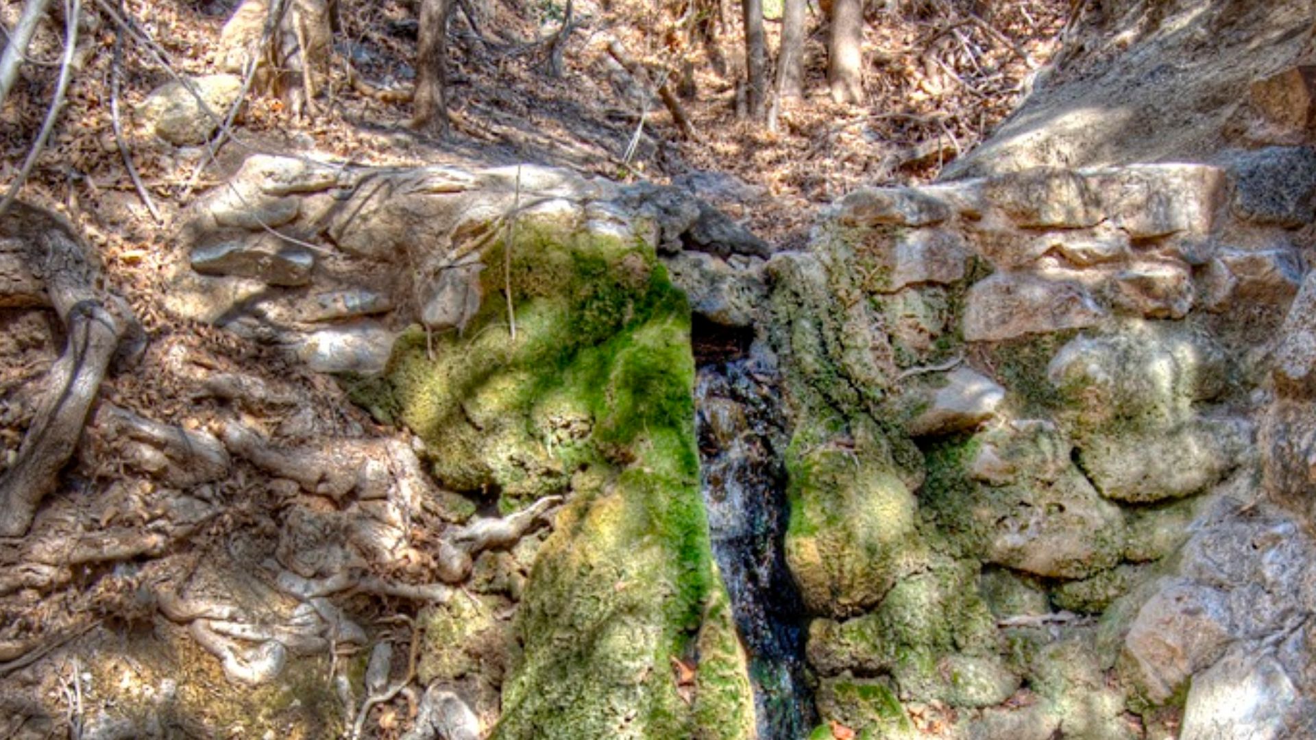 File:Apache Spring (5582006803).jpg