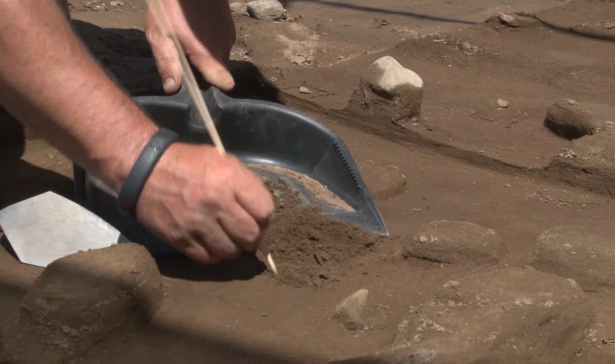 More Discoveries to Come