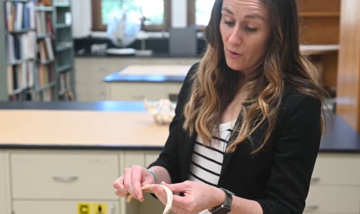 A Man in His Forties, Tall for His Time