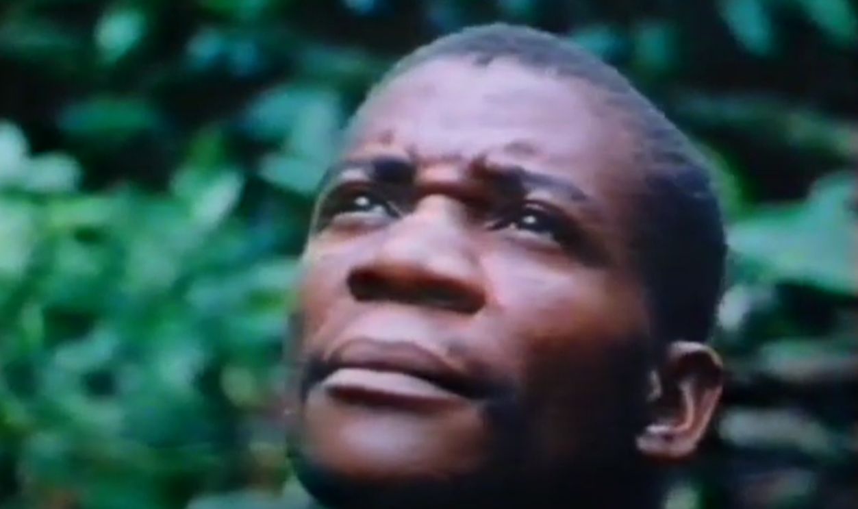 Stories Of A Living Forest