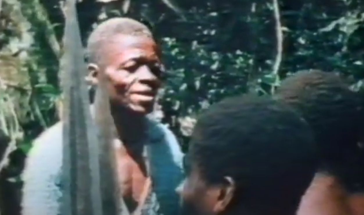 A World Without Chiefs