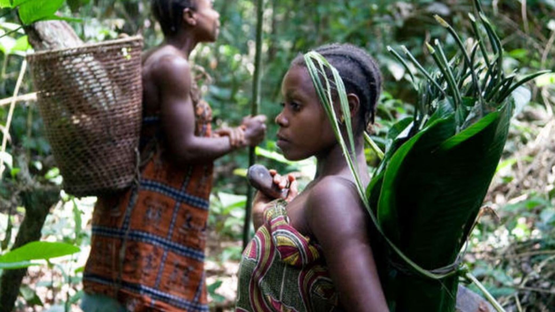 File:Pygmées (RDC).jpg