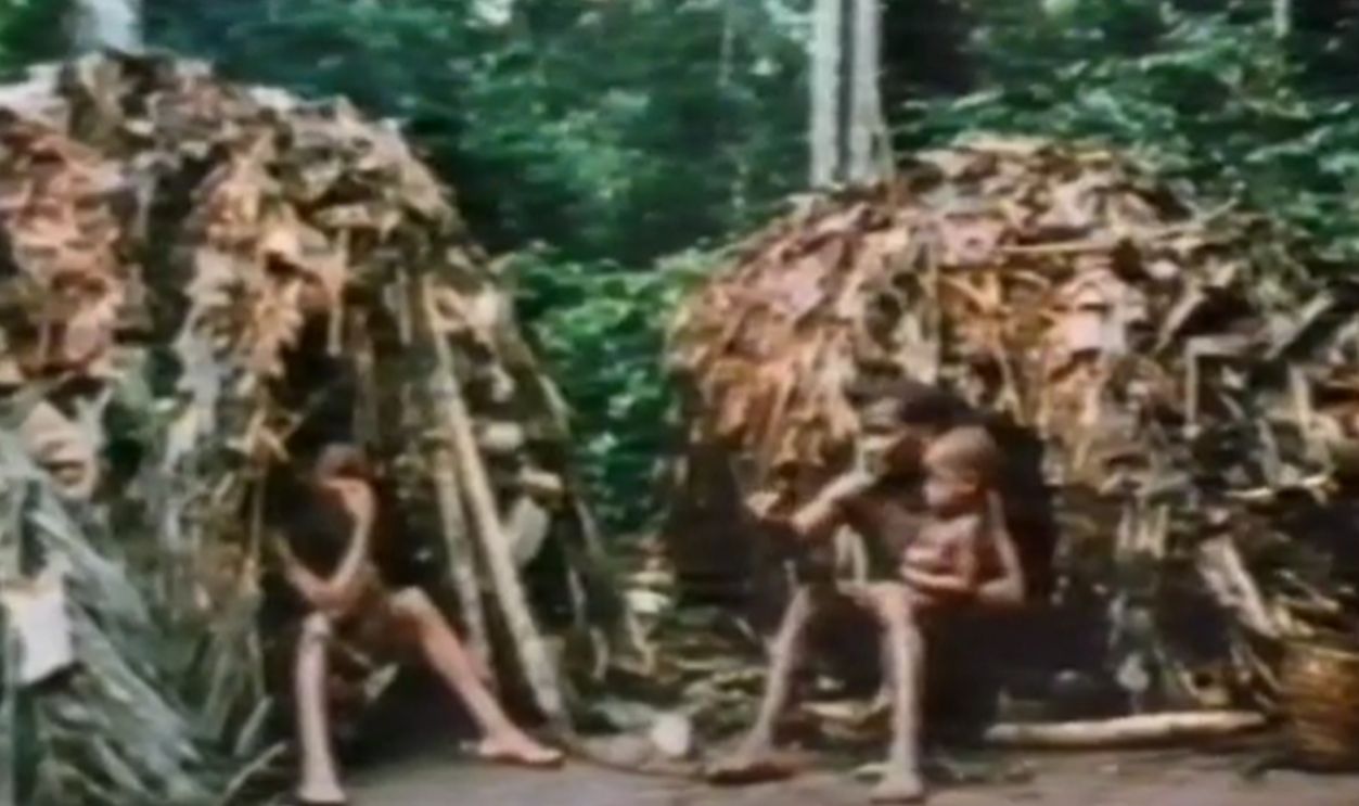 Huts Made From Nature