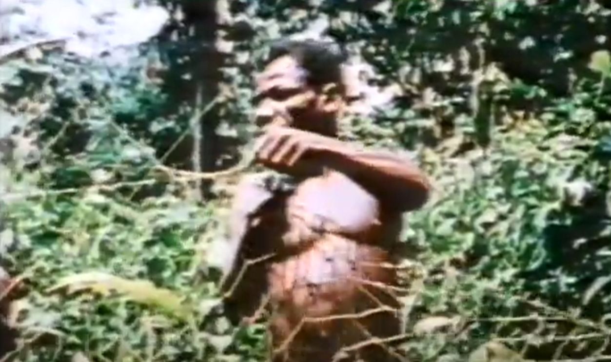 Hunting With Giant Nets