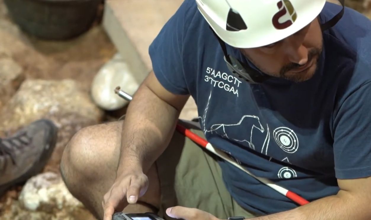 Why Nicknames Matter