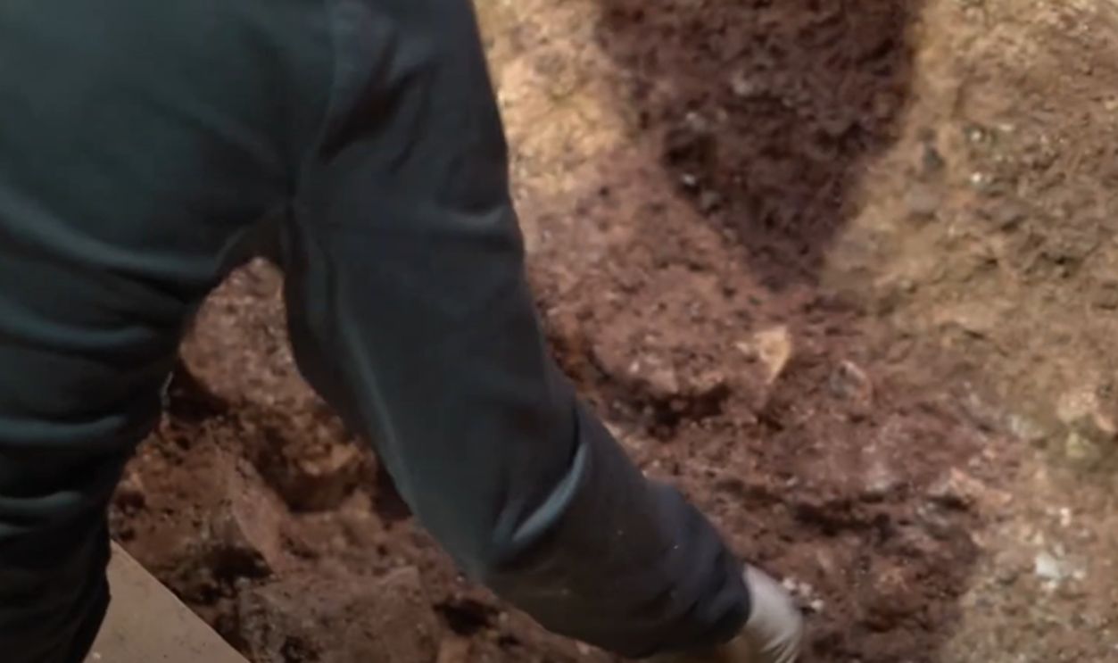 What Comes Next At The Site