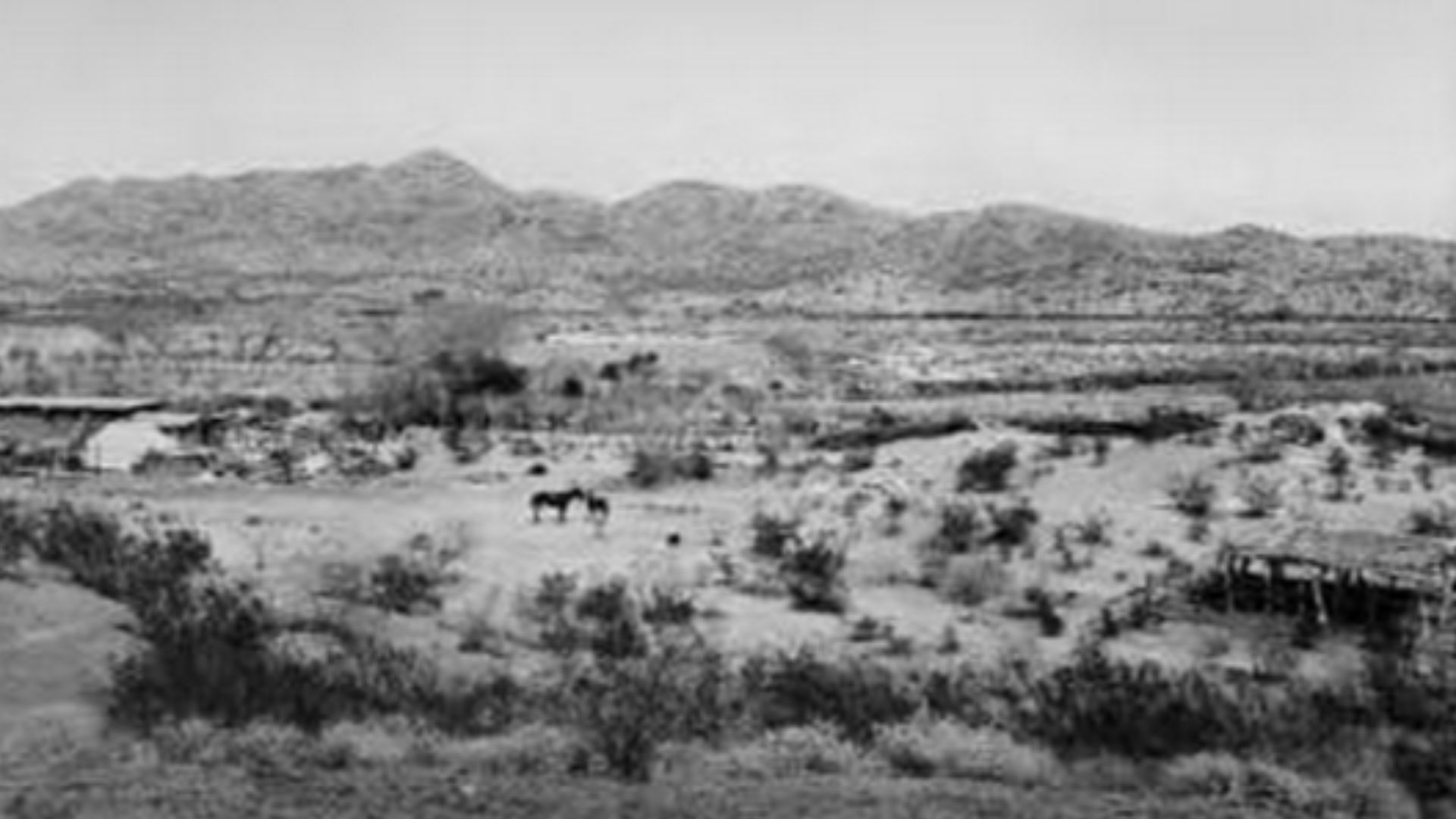 File:Rancheria tohono o'odham.png
