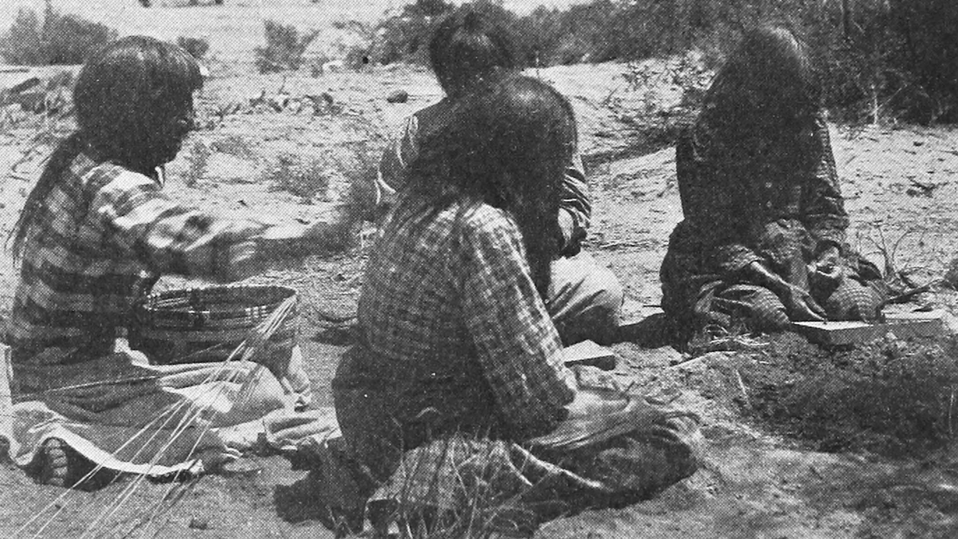 File:The Pima Indians - pg 134.png