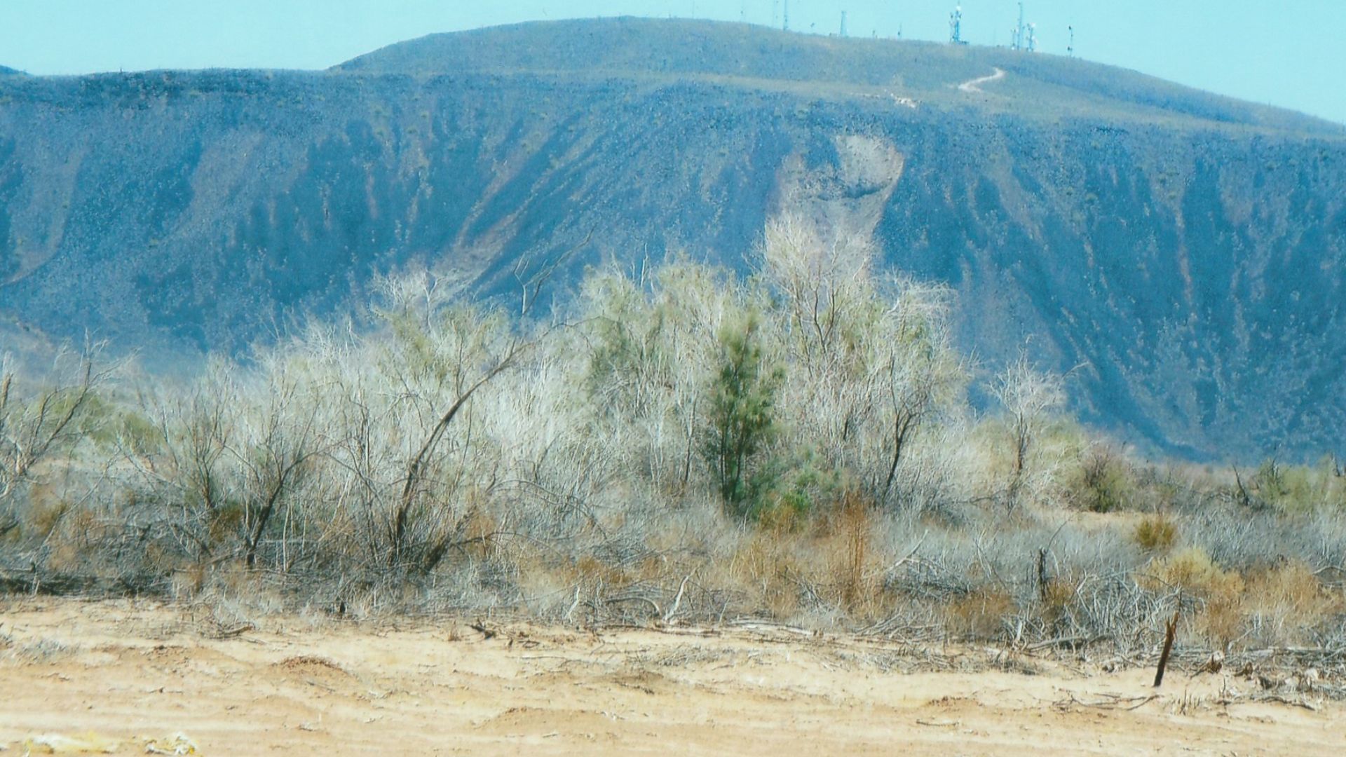 File:Dateland-Oatman Mountain.jpg