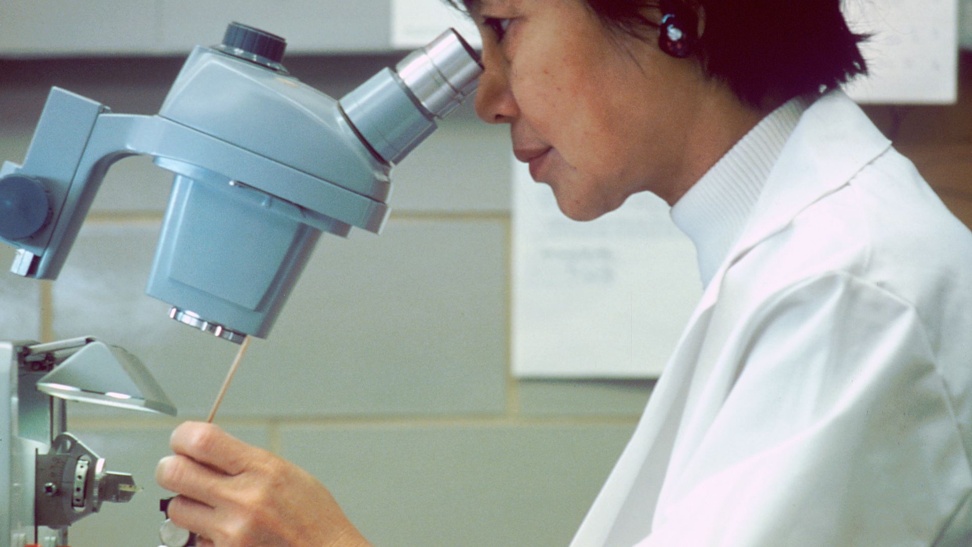 File:Scientist looking thorugh microscope.jpg