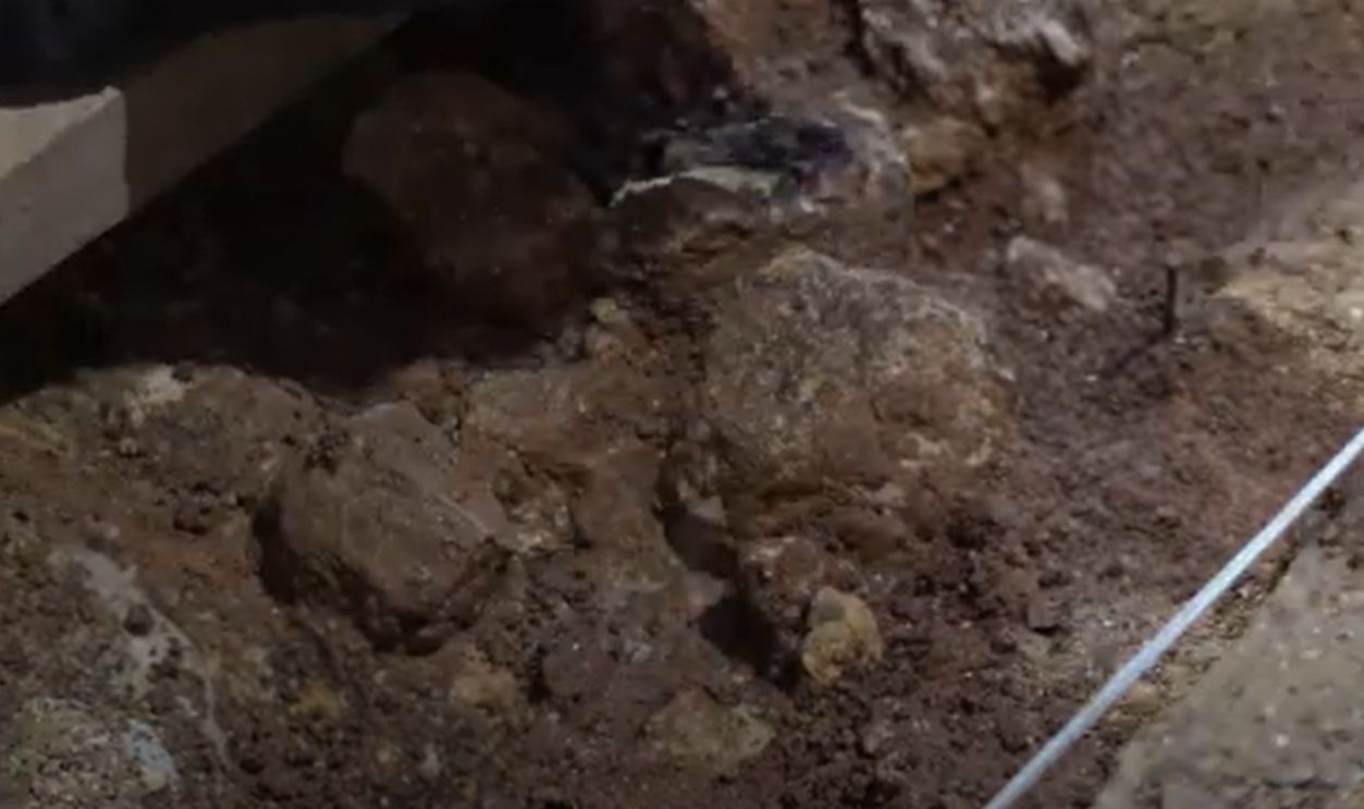 How Old Is The Fossil