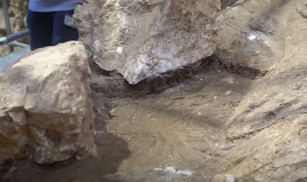 The World Around Pink