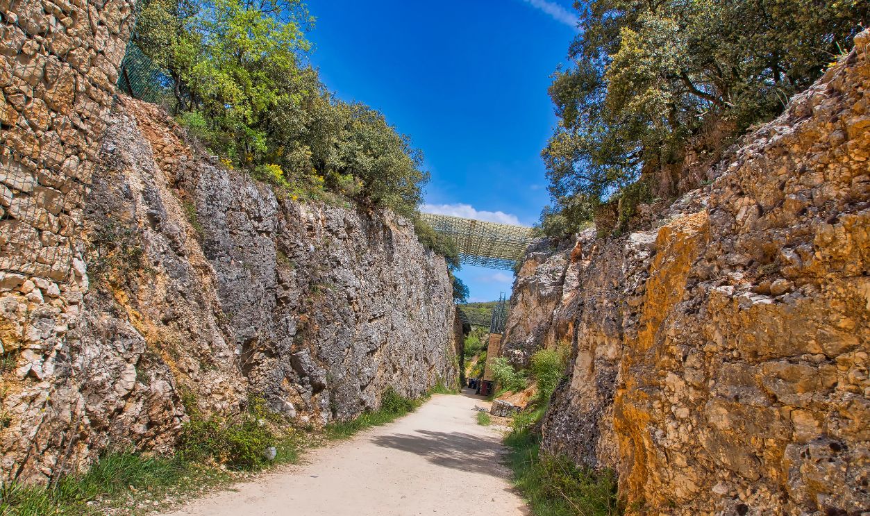 The Atapuerca Connection