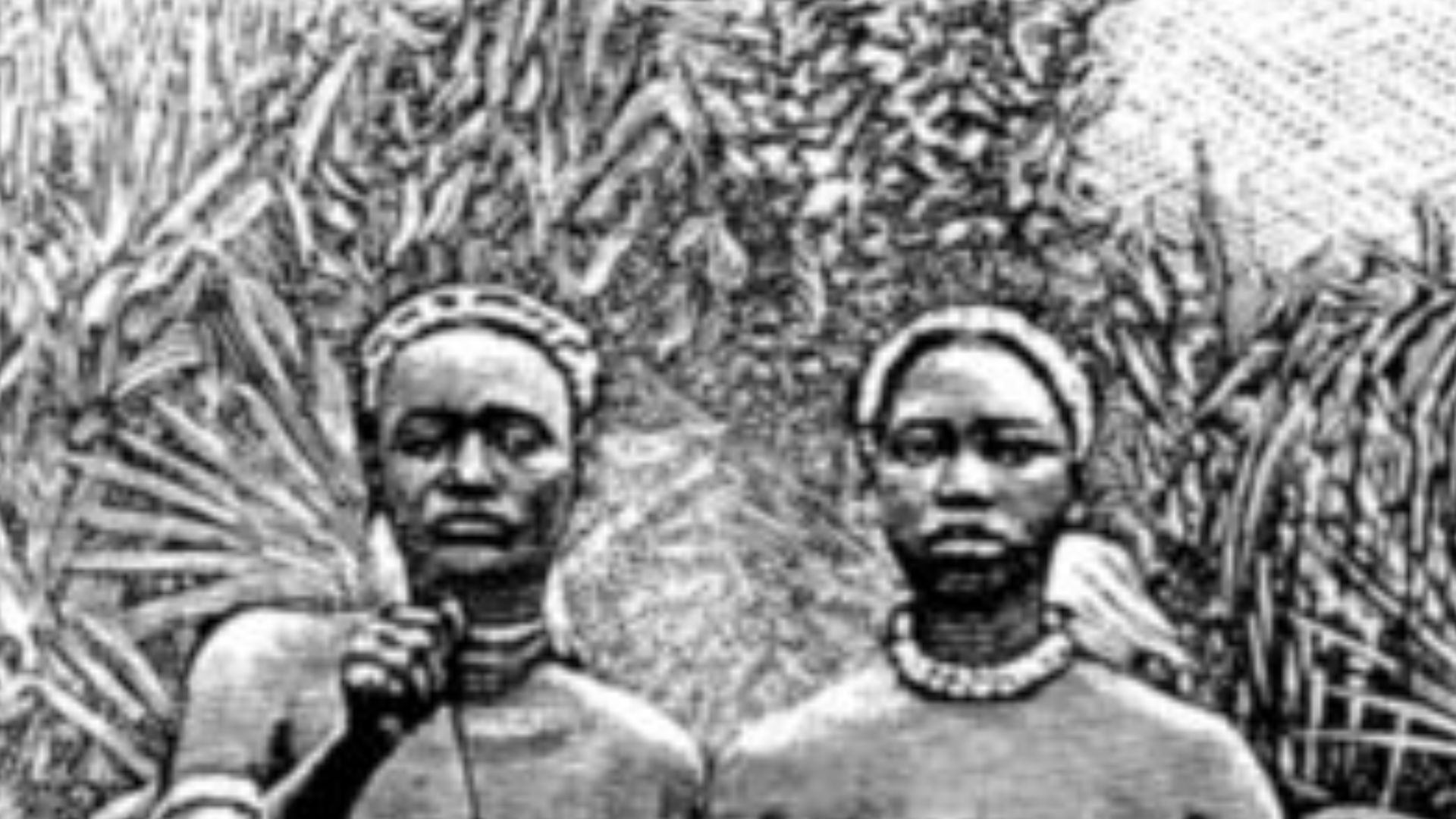 File:Dahomey-amazoner.jpg