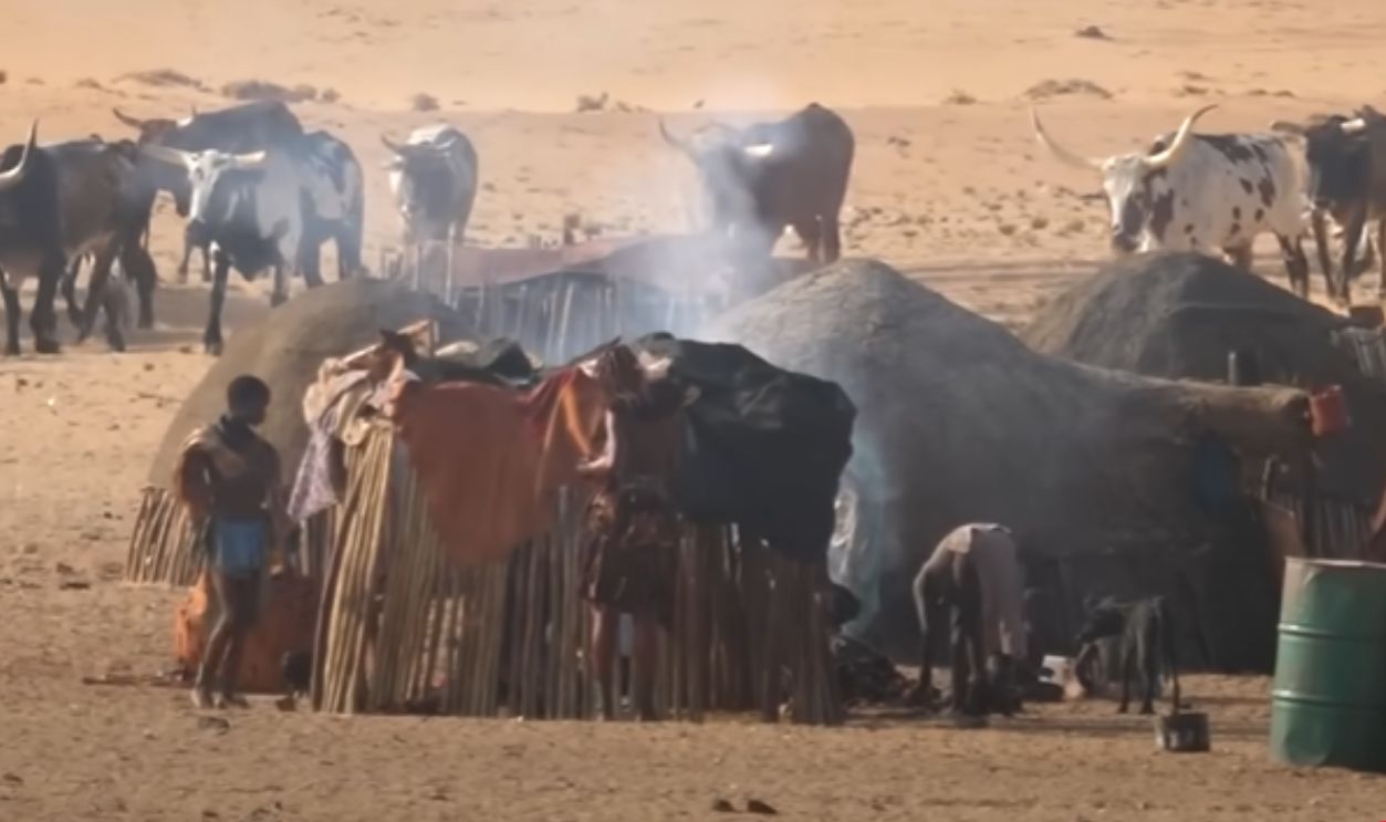 Pastoral Life And The Sustenance Of Livestock