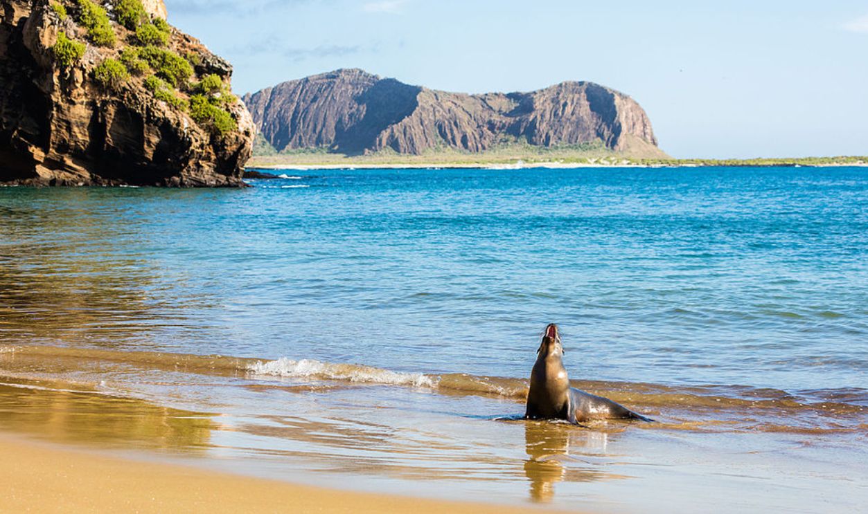 The Galapagos Islands, Ecuador