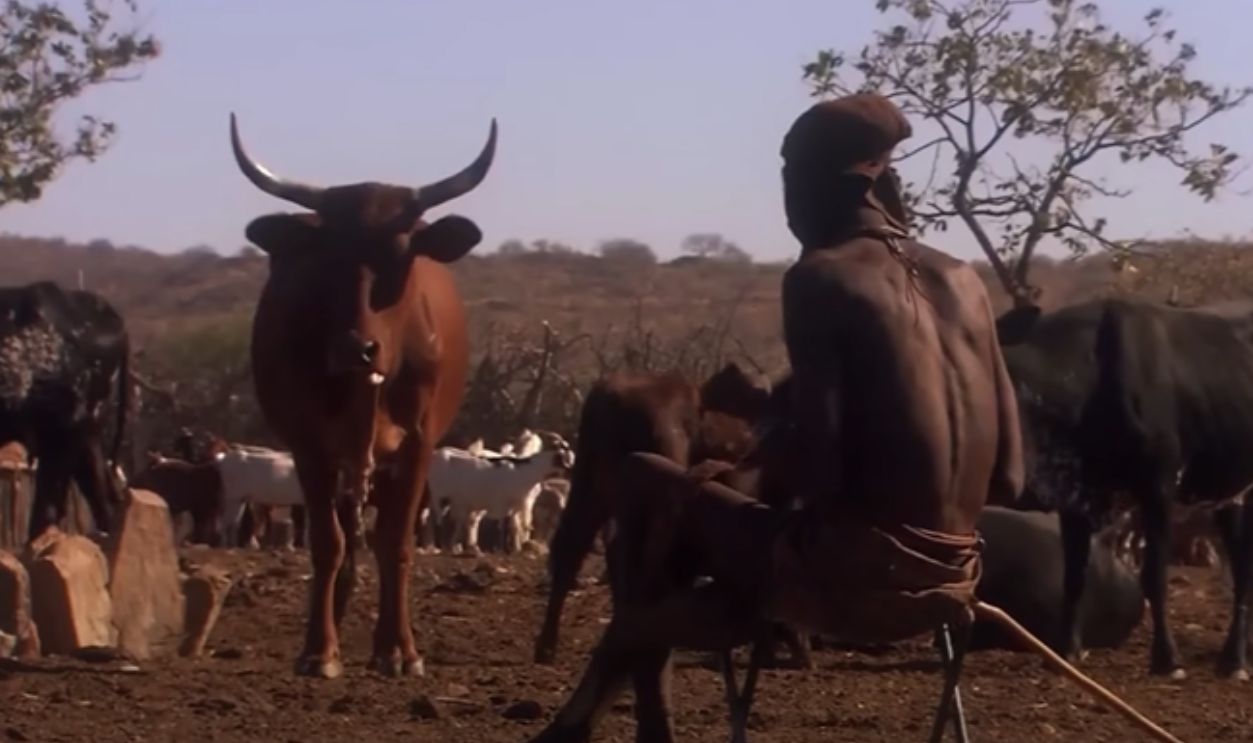 Nomads Of Resilience