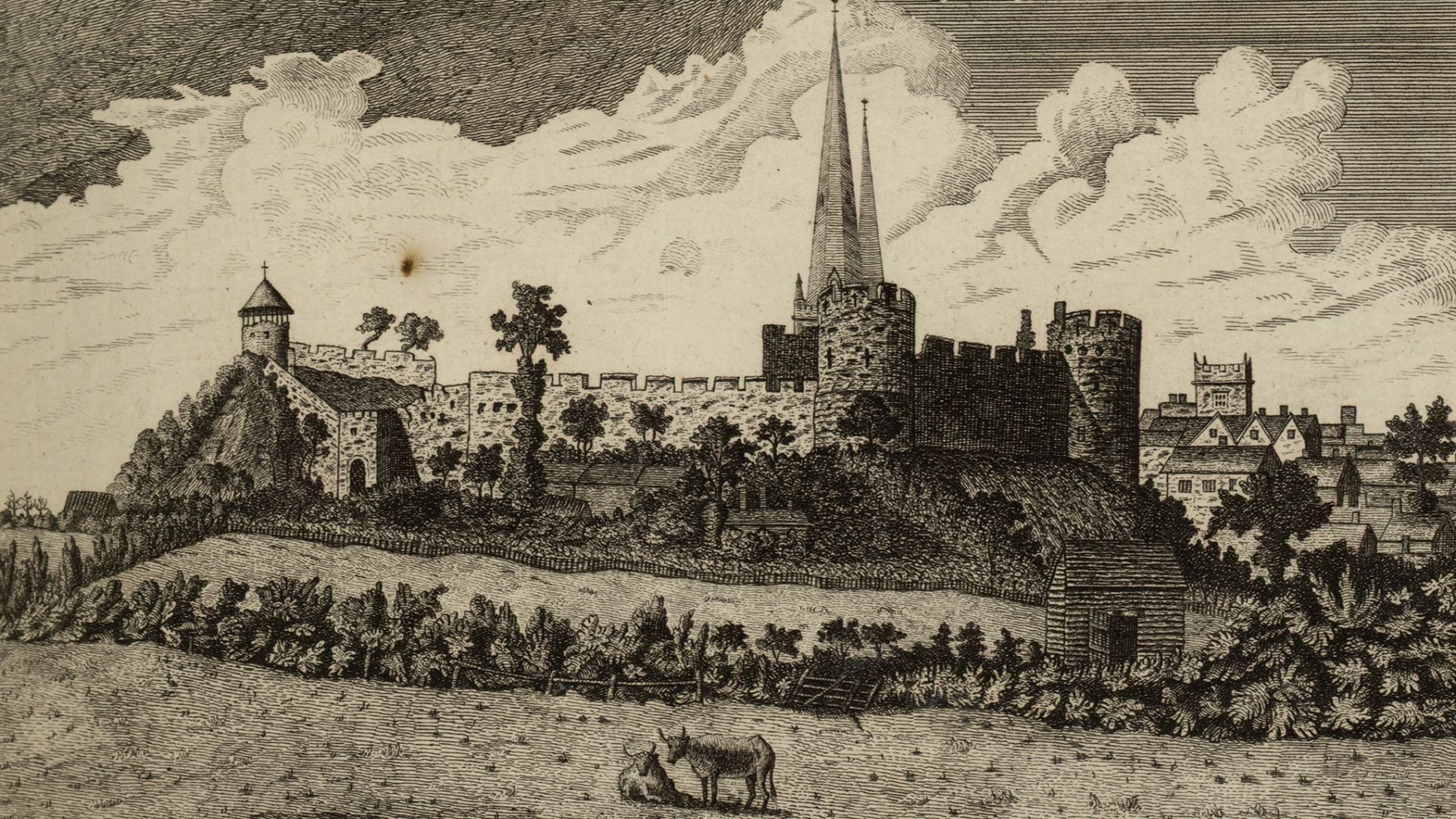 File:North east view of Shrewsbury castle 01945.jpg