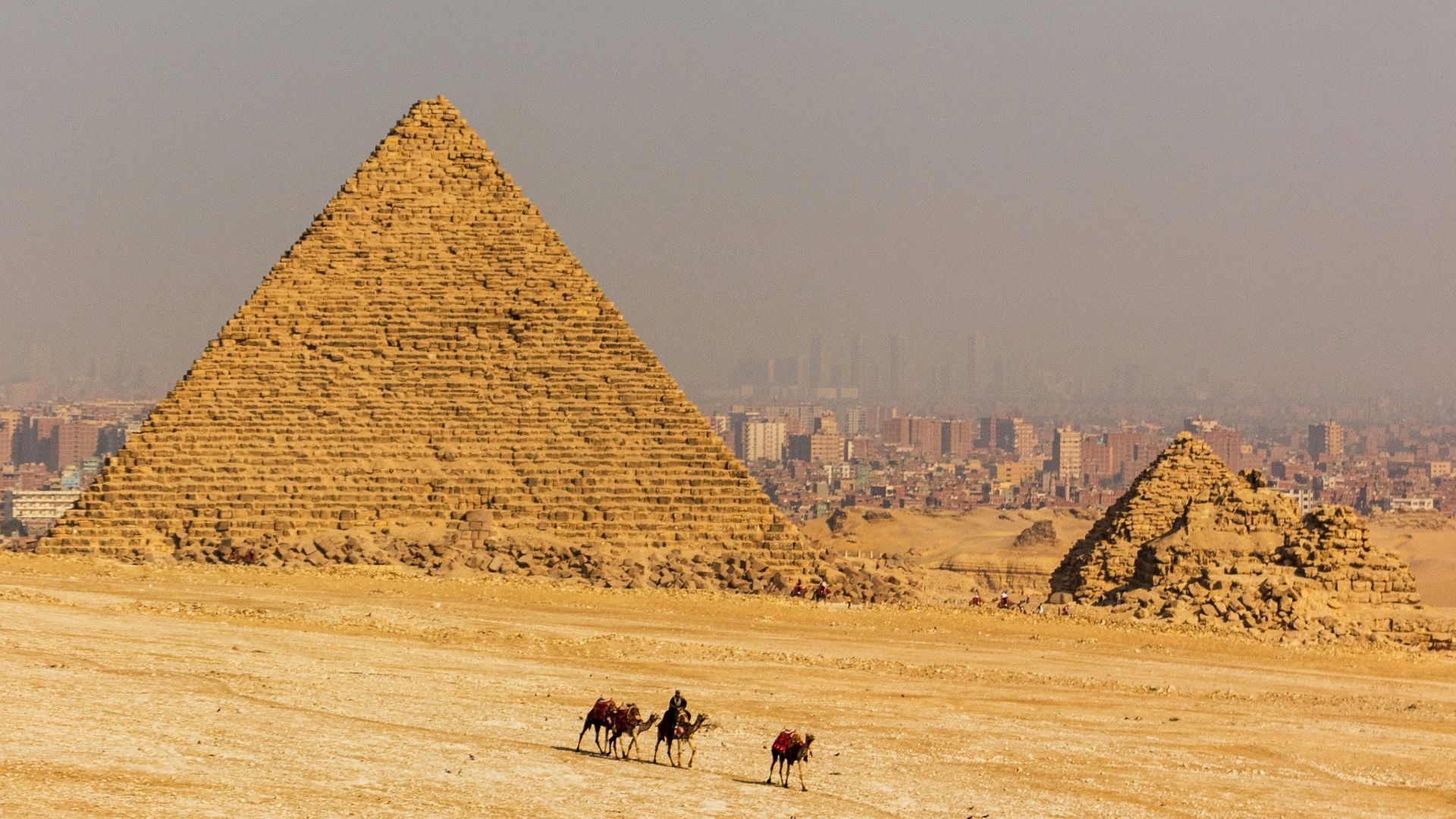a group of horses walking in front of a pyramid