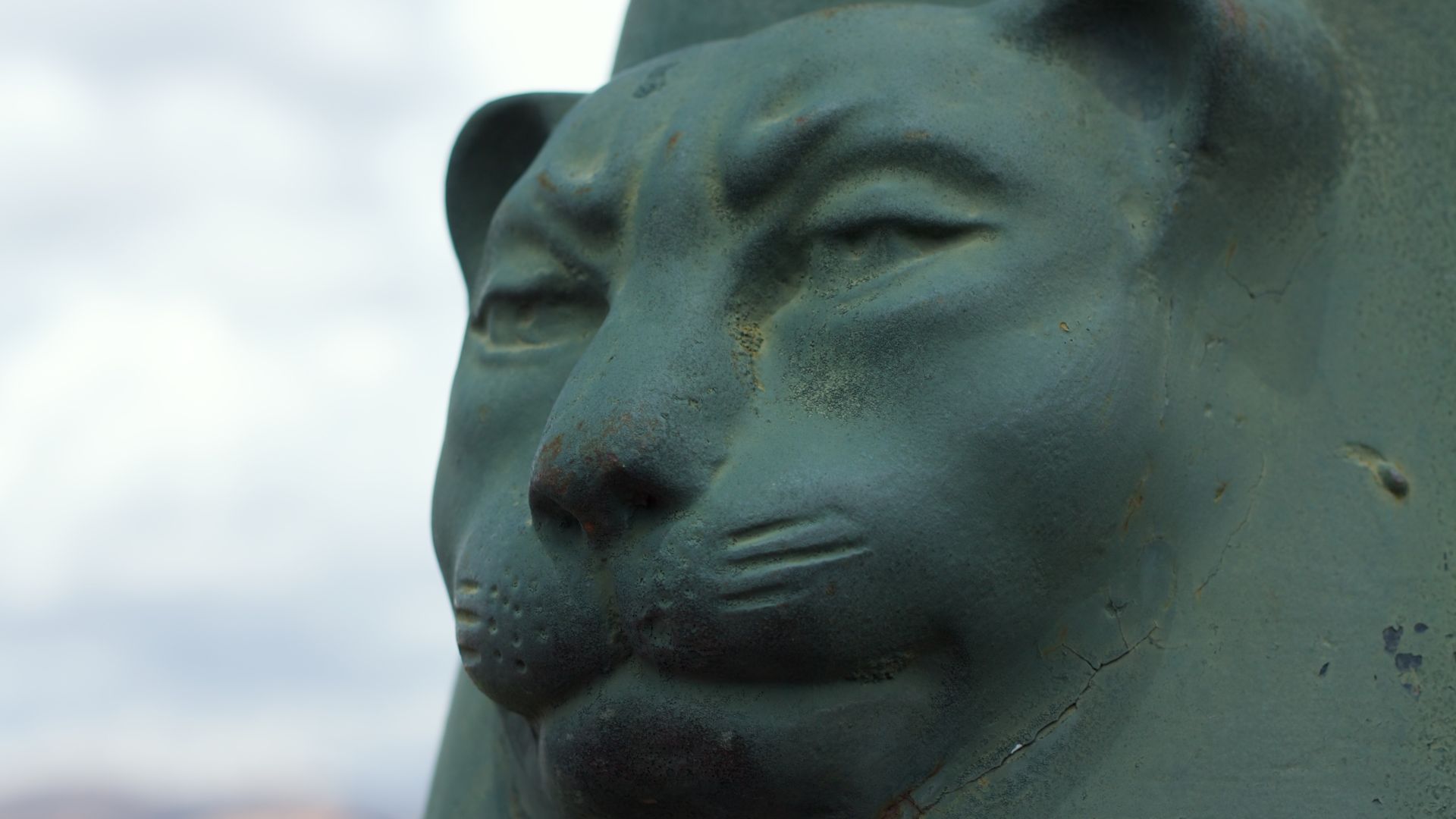 File:Peru - Cusco 173 - puma face (8149469391).jpg