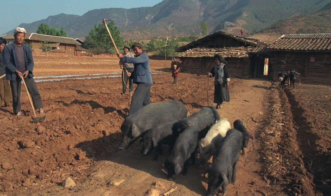 Mosuo are a small ethnic group living in Yunnan and Sichuan Provinces in China, close to the border with Tibet. 