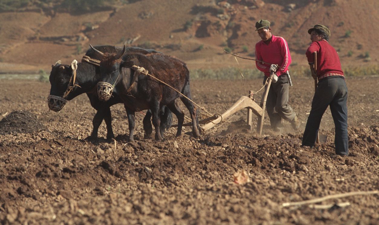 Mosuo are a small ethnic group living in Yunnan and Sichuan Provinces in China, close to the border with Tibet. 