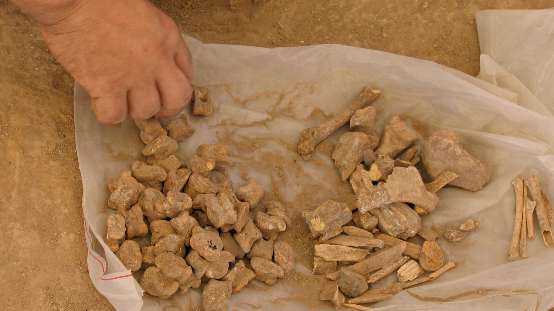 File:Çatalhöyük 2006 IMG 2185 (207459655).jpg