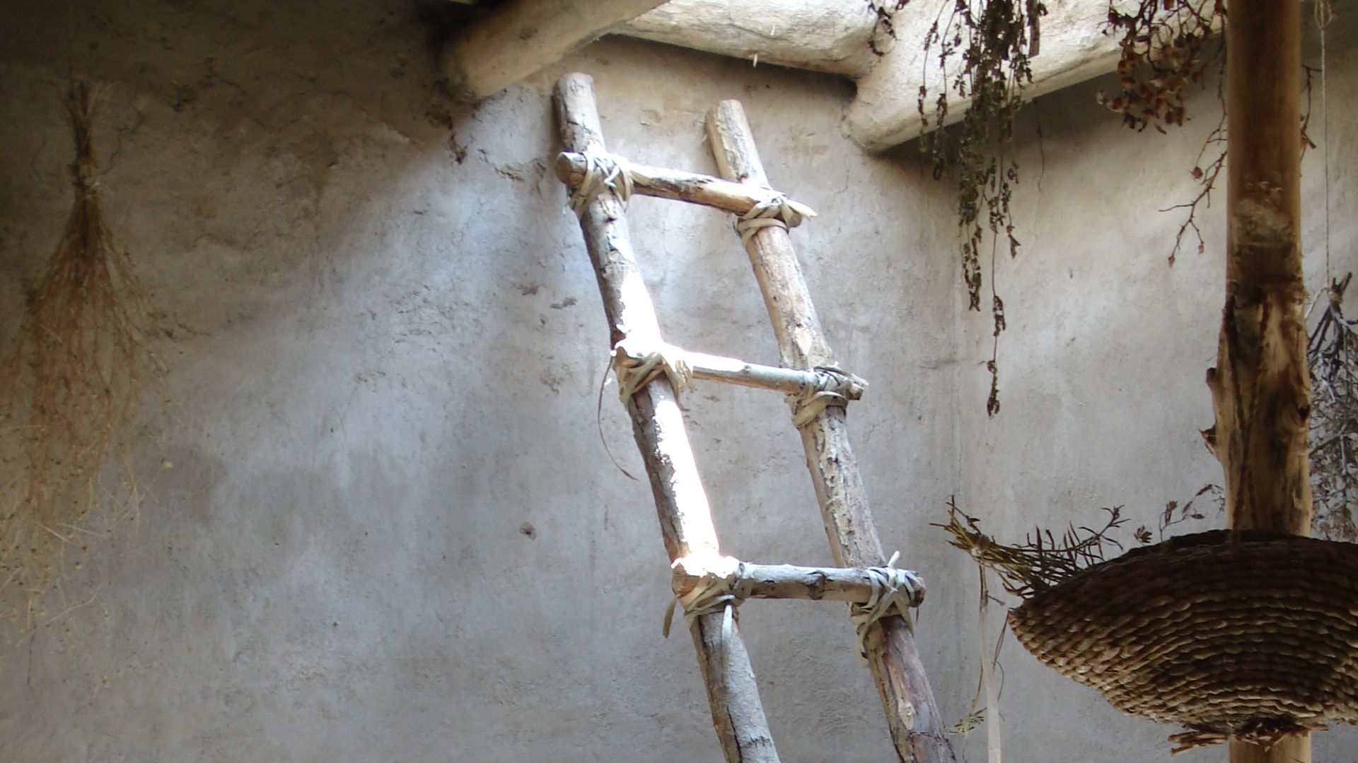 File:Reconstructed ladder Asikli Hoyuk.JPG